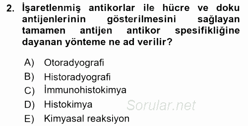 Temel Veteriner Histoloji ve Embriyoloji 2016 - 2017 Ara Sınavı 2.Soru