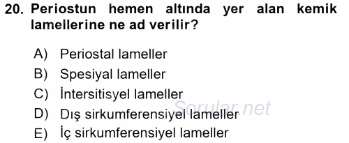 Temel Veteriner Histoloji ve Embriyoloji 2016 - 2017 Ara Sınavı 20.Soru