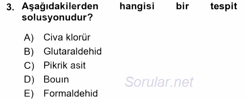 Temel Veteriner Histoloji ve Embriyoloji 2016 - 2017 Ara Sınavı 3.Soru