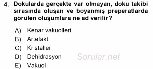Temel Veteriner Histoloji ve Embriyoloji 2016 - 2017 Ara Sınavı 4.Soru