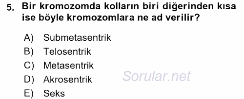 Temel Veteriner Histoloji ve Embriyoloji 2016 - 2017 Ara Sınavı 5.Soru