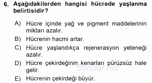 Temel Veteriner Histoloji ve Embriyoloji 2016 - 2017 Ara Sınavı 6.Soru