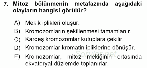 Temel Veteriner Histoloji ve Embriyoloji 2016 - 2017 Ara Sınavı 7.Soru