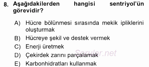 Temel Veteriner Histoloji ve Embriyoloji 2016 - 2017 Ara Sınavı 8.Soru