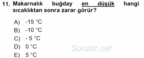 Tarla Bitkileri 1 2016 - 2017 Ara Sınavı 11.Soru
