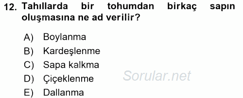 Tarla Bitkileri 1 2016 - 2017 Ara Sınavı 12.Soru