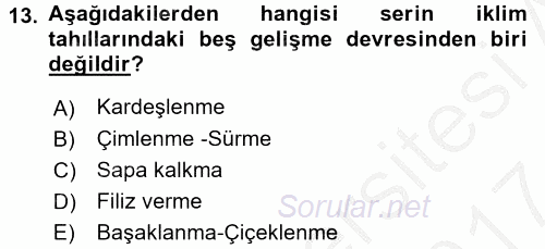 Tarla Bitkileri 1 2016 - 2017 Ara Sınavı 13.Soru