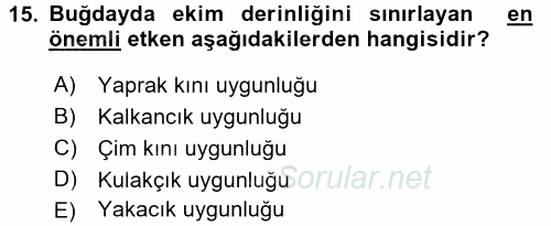 Tarla Bitkileri 1 2016 - 2017 Ara Sınavı 15.Soru