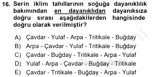 Tarla Bitkileri 1 2016 - 2017 Ara Sınavı 16.Soru