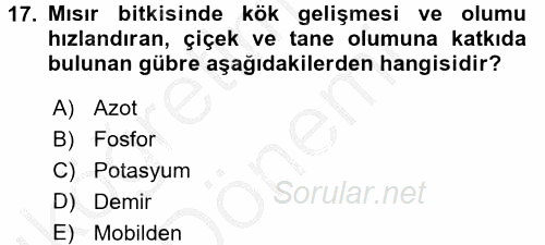 Tarla Bitkileri 1 2016 - 2017 Ara Sınavı 17.Soru