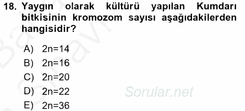 Tarla Bitkileri 1 2016 - 2017 Ara Sınavı 18.Soru