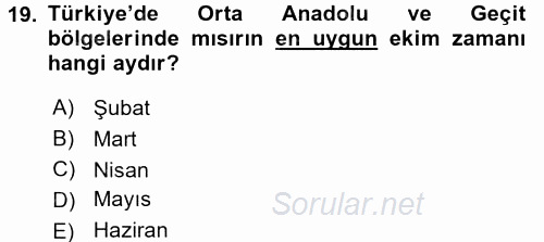 Tarla Bitkileri 1 2016 - 2017 Ara Sınavı 19.Soru