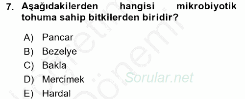 Tarla Bitkileri 1 2016 - 2017 Ara Sınavı 7.Soru