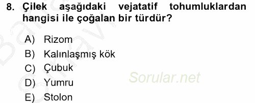 Tarla Bitkileri 1 2016 - 2017 Ara Sınavı 8.Soru