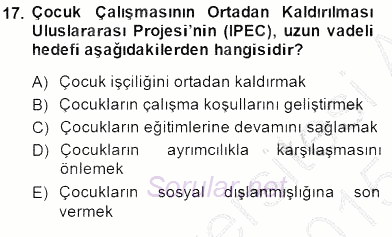 Sosyal Politika 2014 - 2015 Dönem Sonu Sınavı 17.Soru