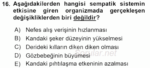 İş ve Yaşamda Motivasyon 2016 - 2017 Ara Sınavı 16.Soru