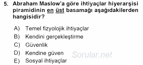 İş ve Yaşamda Motivasyon 2016 - 2017 Ara Sınavı 5.Soru