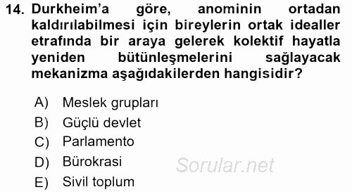 Toplumsal Değişme Kuramları 2017 - 2018 Ara Sınavı 14.Soru