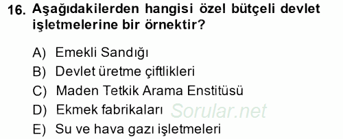 Kamu Özel Kesim Yapısı Ve İlişkileri 2012 - 2013 Dönem Sonu Sınavı 16.Soru