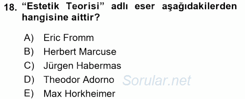 Modern Sosyoloji Tarihi 2017 - 2018 Dönem Sonu Sınavı 18.Soru