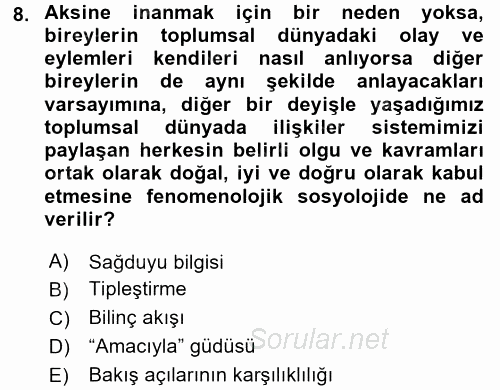 Modern Sosyoloji Tarihi 2017 - 2018 Dönem Sonu Sınavı 8.Soru