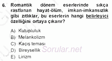 Batı Edebiyatında Akımlar 1 2014 - 2015 Dönem Sonu Sınavı 6.Soru