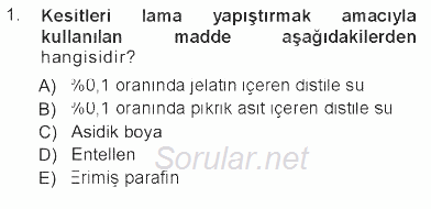 Temel Veteriner Histoloji ve Embriyoloji 2012 - 2013 Tek Ders Sınavı 1.Soru