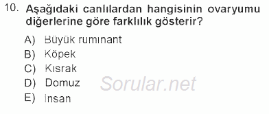 Temel Veteriner Histoloji ve Embriyoloji 2012 - 2013 Tek Ders Sınavı 10.Soru