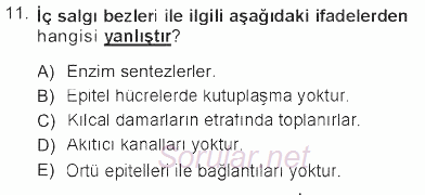 Temel Veteriner Histoloji ve Embriyoloji 2012 - 2013 Tek Ders Sınavı 11.Soru