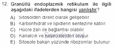 Temel Veteriner Histoloji ve Embriyoloji 2012 - 2013 Tek Ders Sınavı 12.Soru