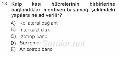 Temel Veteriner Histoloji ve Embriyoloji 2012 - 2013 Tek Ders Sınavı 13.Soru