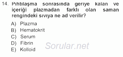 Temel Veteriner Histoloji ve Embriyoloji 2012 - 2013 Tek Ders Sınavı 14.Soru