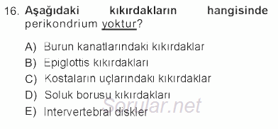 Temel Veteriner Histoloji ve Embriyoloji 2012 - 2013 Tek Ders Sınavı 16.Soru