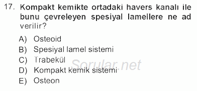 Temel Veteriner Histoloji ve Embriyoloji 2012 - 2013 Tek Ders Sınavı 17.Soru