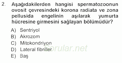Temel Veteriner Histoloji ve Embriyoloji 2012 - 2013 Tek Ders Sınavı 2.Soru