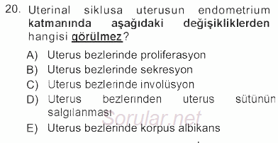 Temel Veteriner Histoloji ve Embriyoloji 2012 - 2013 Tek Ders Sınavı 20.Soru