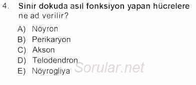 Temel Veteriner Histoloji ve Embriyoloji 2012 - 2013 Tek Ders Sınavı 4.Soru