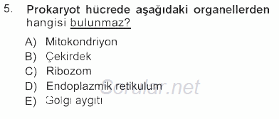 Temel Veteriner Histoloji ve Embriyoloji 2012 - 2013 Tek Ders Sınavı 5.Soru