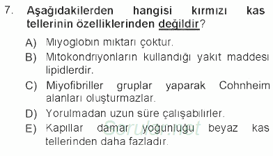 Temel Veteriner Histoloji ve Embriyoloji 2012 - 2013 Tek Ders Sınavı 7.Soru