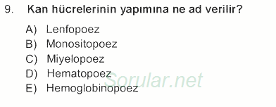 Temel Veteriner Histoloji ve Embriyoloji 2012 - 2013 Tek Ders Sınavı 9.Soru