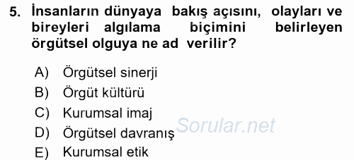Örgütsel Davranış 2015 - 2016 Dönem Sonu Sınavı 5.Soru