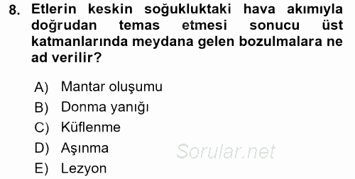 Temel Mutfak Teknikleri 2017 - 2018 3 Ders Sınavı 8.Soru