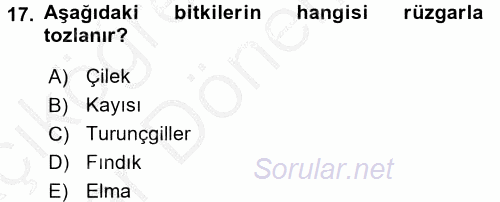 Bahçe Tarımı 1 2016 - 2017 Ara Sınavı 17.Soru