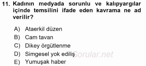 Toplumsal Cinsiyet Çalışmaları 2017 - 2018 Dönem Sonu Sınavı 11.Soru