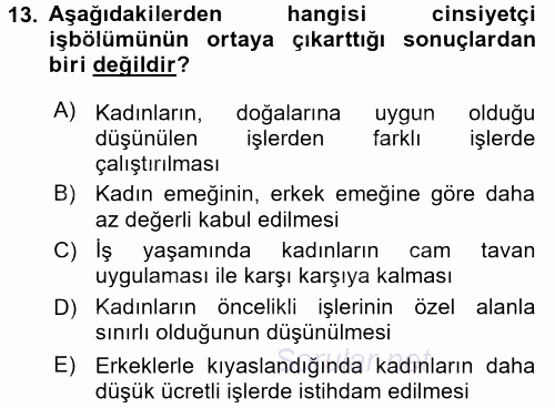 Toplumsal Cinsiyet Çalışmaları 2017 - 2018 Dönem Sonu Sınavı 13.Soru