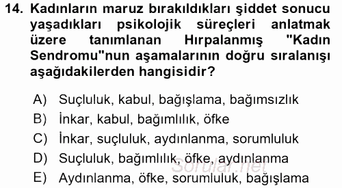 Toplumsal Cinsiyet Çalışmaları 2017 - 2018 Dönem Sonu Sınavı 14.Soru