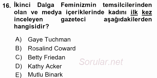 Toplumsal Cinsiyet Çalışmaları 2017 - 2018 Dönem Sonu Sınavı 16.Soru