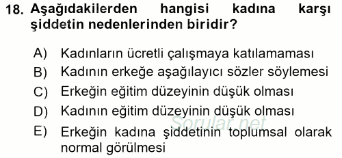 Toplumsal Cinsiyet Çalışmaları 2017 - 2018 Dönem Sonu Sınavı 18.Soru
