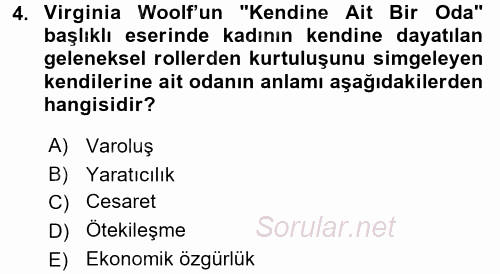 Toplumsal Cinsiyet Çalışmaları 2017 - 2018 Dönem Sonu Sınavı 4.Soru