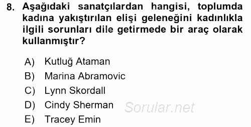 Toplumsal Cinsiyet Çalışmaları 2017 - 2018 Dönem Sonu Sınavı 8.Soru